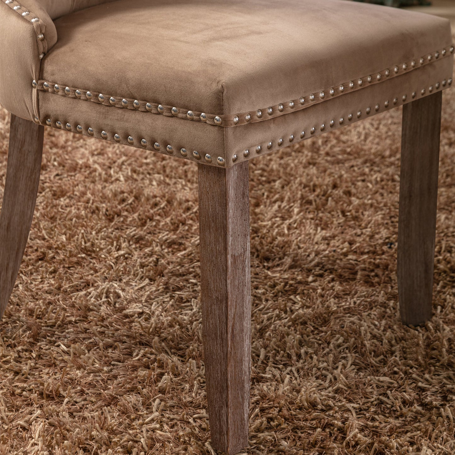 Modern Velvet Upholstered Dining Chair Set with Tufted Design and Nailhead Trim Solid Wood Legs Khaki 2-Pcs