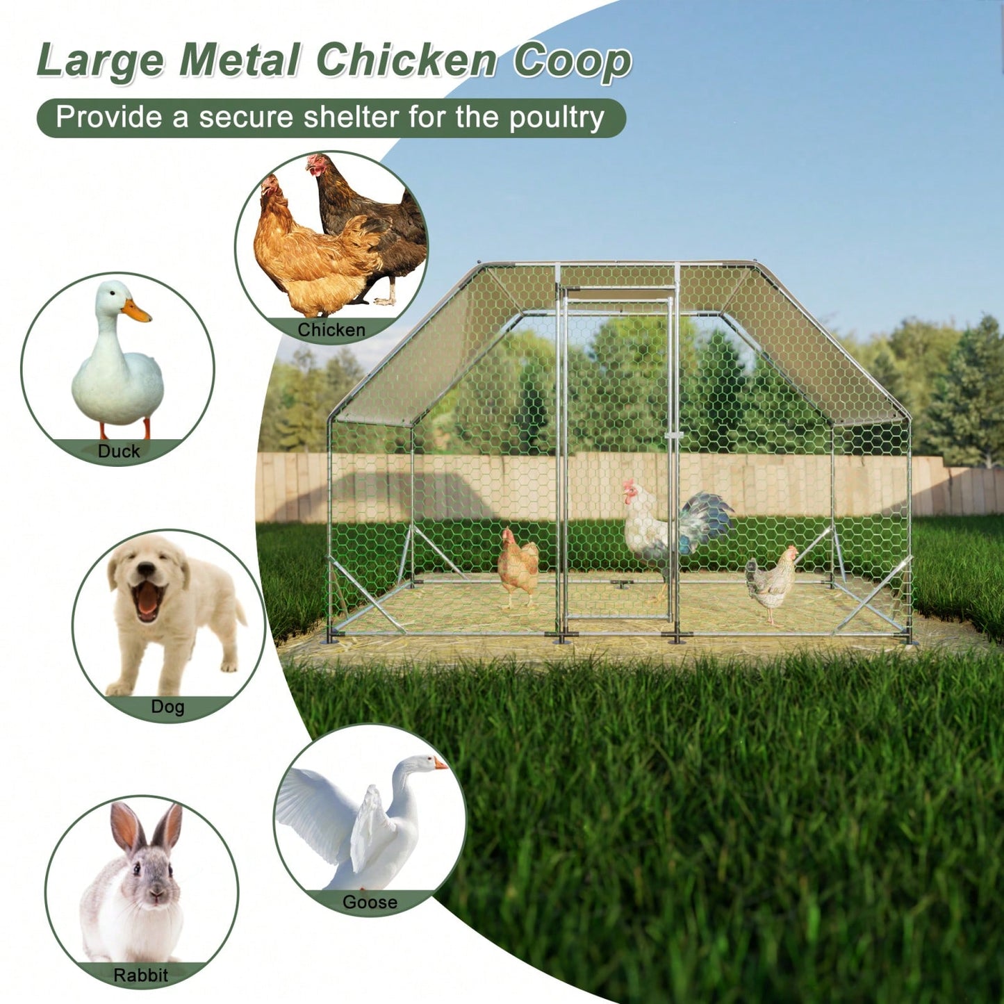 9.94 Ft. X 6.46 Ft. X 6.36 Ft. Metal Large Chicken Coop Walk-In Poultry Cage Run Flat Shaped With Waterproof Cover