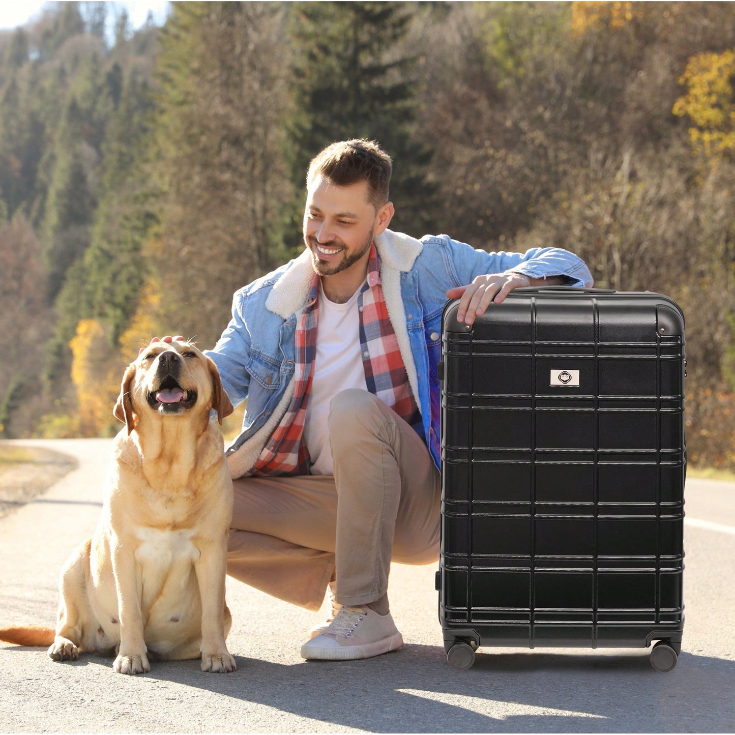 Lightweight Rose Gold Hardshell Luggage Set 4pcs with 360-Degree Spinner Wheels and TSA Lock Suitcases for Travel 12 20 24 28 Inches