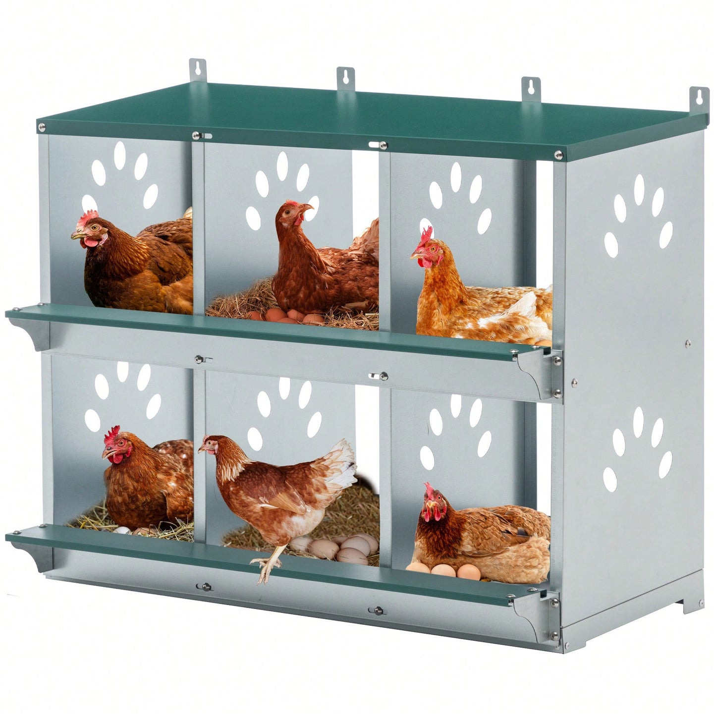 Metal Chicken Nesting Box With 6 Rooms Galvanized Steel Hens Easy Assembly
