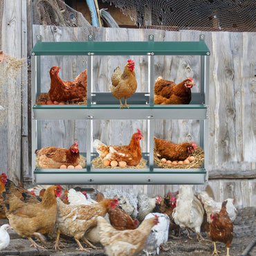 Metal Chicken Nesting Box With 6 Rooms Galvanized Steel Hens Easy Assembly