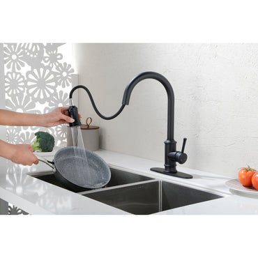 Single Handle High Arc Brushed Nickel Kitchen Faucet with Pull Down Sprayer - Stainless Steel Single Level Sink Faucet