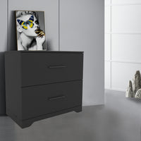 2 Drawer Lateral Filing Cabinet for Home Office Storage Black Metal File Organizer