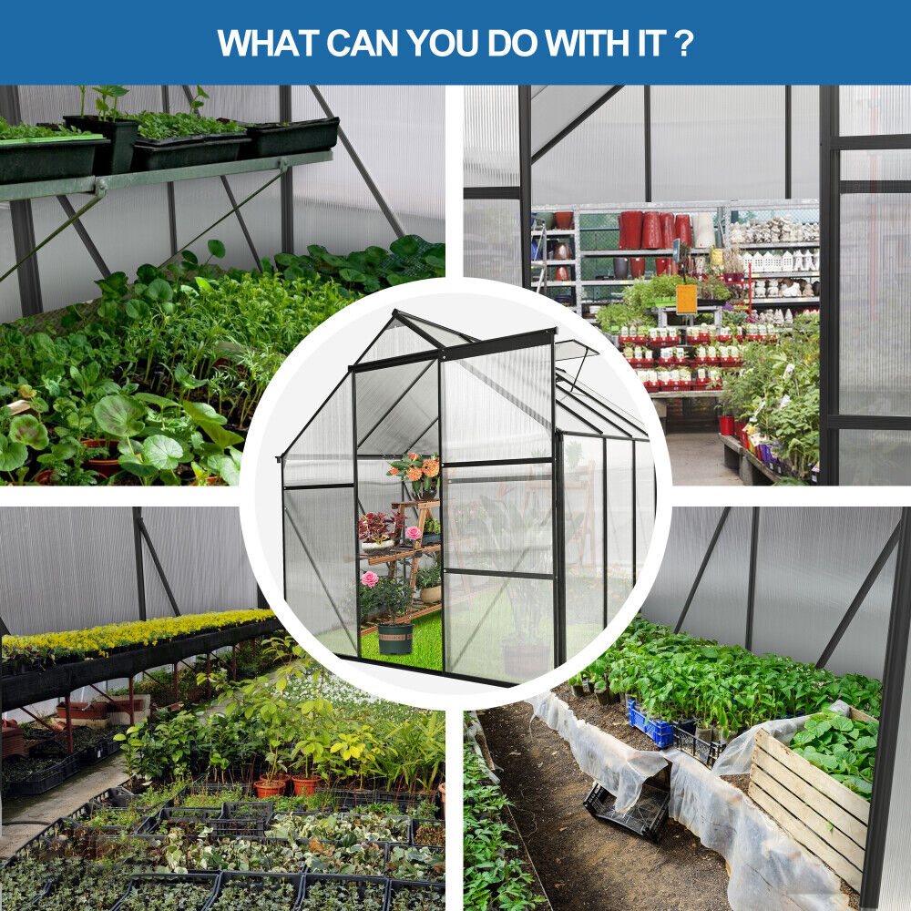 6x8 FT Polycarbonate Greenhouse Raised Base and Anchor Aluminum Heavy Duty