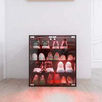 4 Layer Black Shoe Cabinet with Glass Door, Glass Layer Shoes Display Cabinet