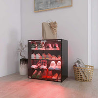 4 Layer Black Shoe Cabinet with Glass Door, Glass Layer Shoes Display Cabinet