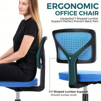 Of Armless Desk Chair With Lumbar Support