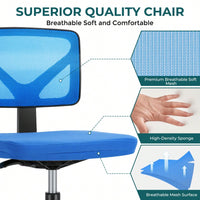 Of Armless Desk Chair With Lumbar Support