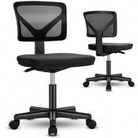 Of Armless Desk Chair With Lumbar Support