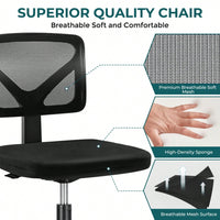 Of Armless Desk Chair With Lumbar Support