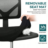 Of Armless Desk Chair With Lumbar Support