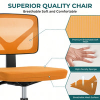 Of Armless Desk Chair With Lumbar Support