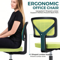 Of Armless Desk Chair With Lumbar Support