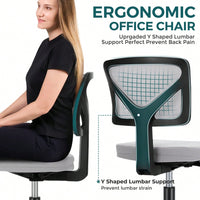 Of Armless Desk Chair With Lumbar Support