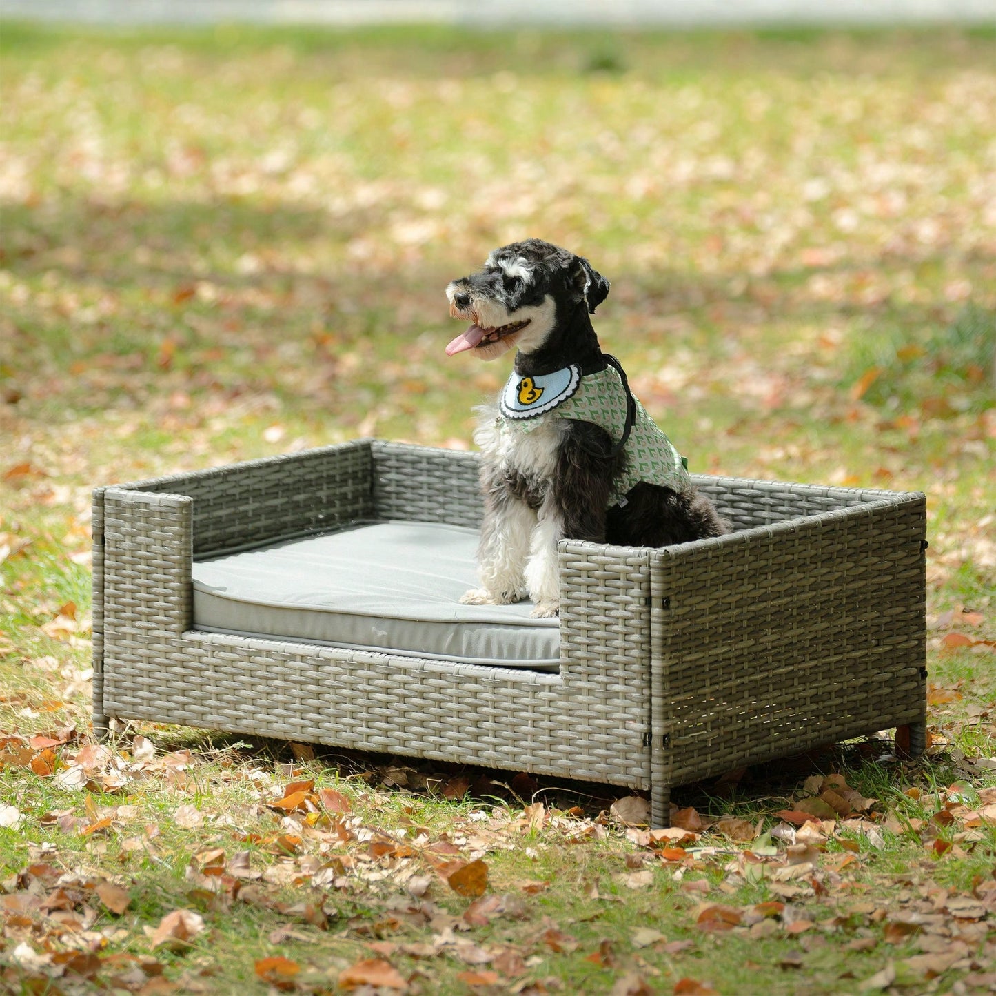 Pet Bed, Pet Enclosures, Pet Outdoor Furniture, Pet Patio Furniture, Seasonal PE Wicker Pet Furniture, Dog Bed With Cushion