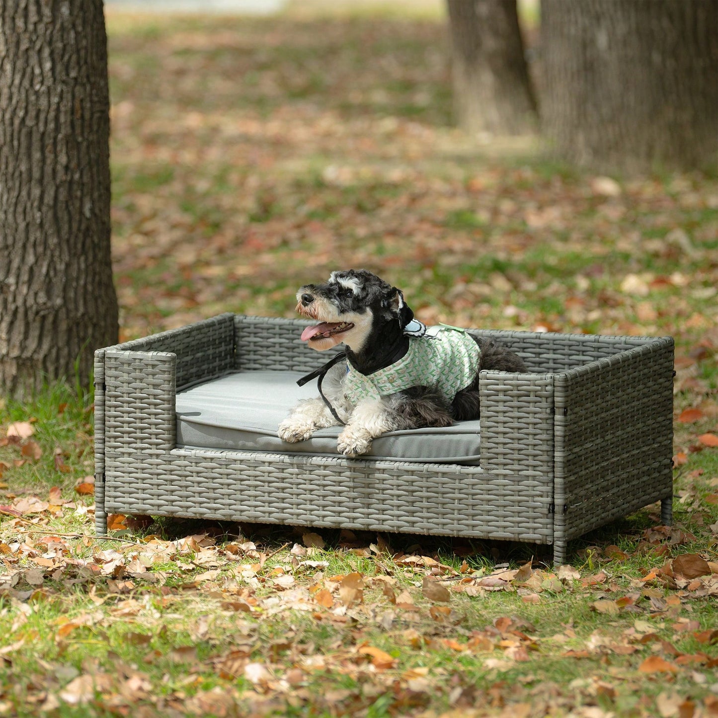 Pet Bed, Pet Enclosures, Pet Outdoor Furniture, Pet Patio Furniture, Seasonal PE Wicker Pet Furniture, Dog Bed With Cushion