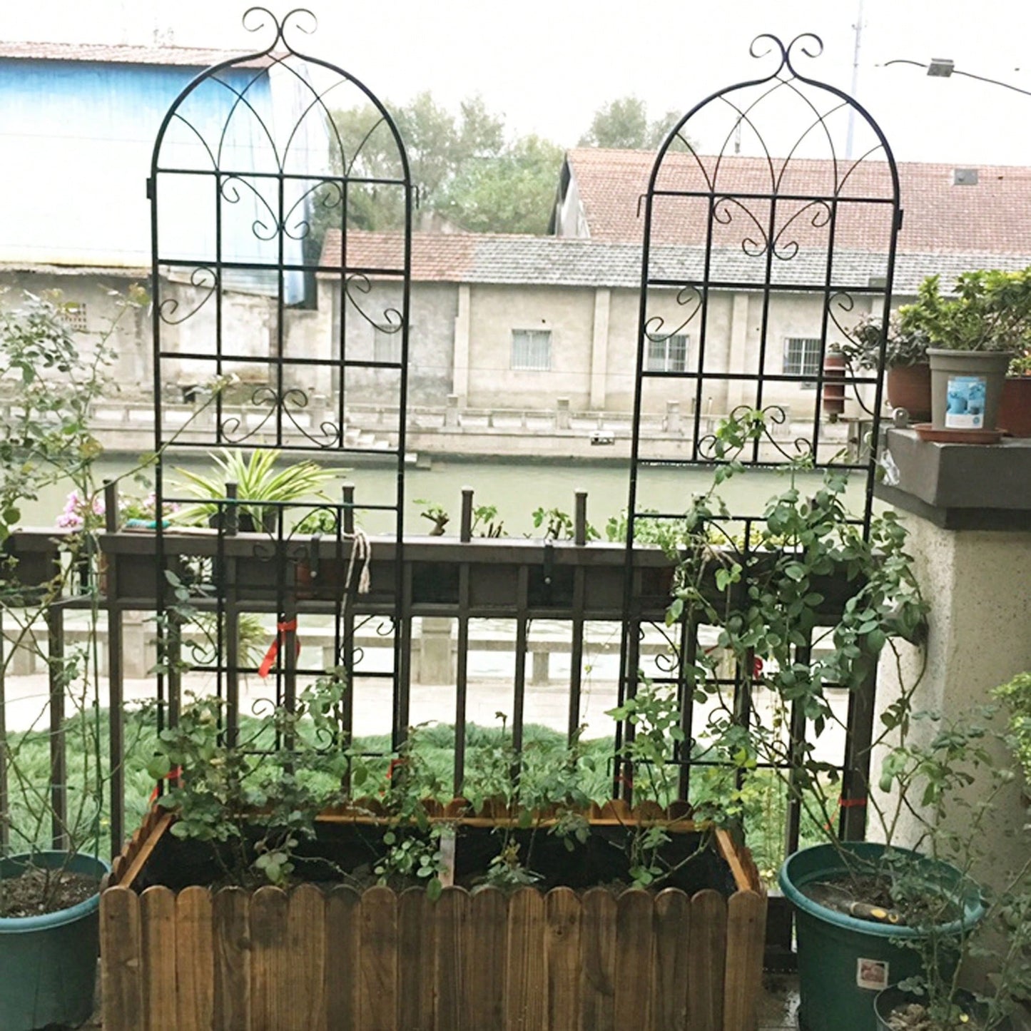 4 Pack Metal Garden Trellis 71" X 19.7" Rustproof Trellis For Climbing Plants Outdoor Flower Support