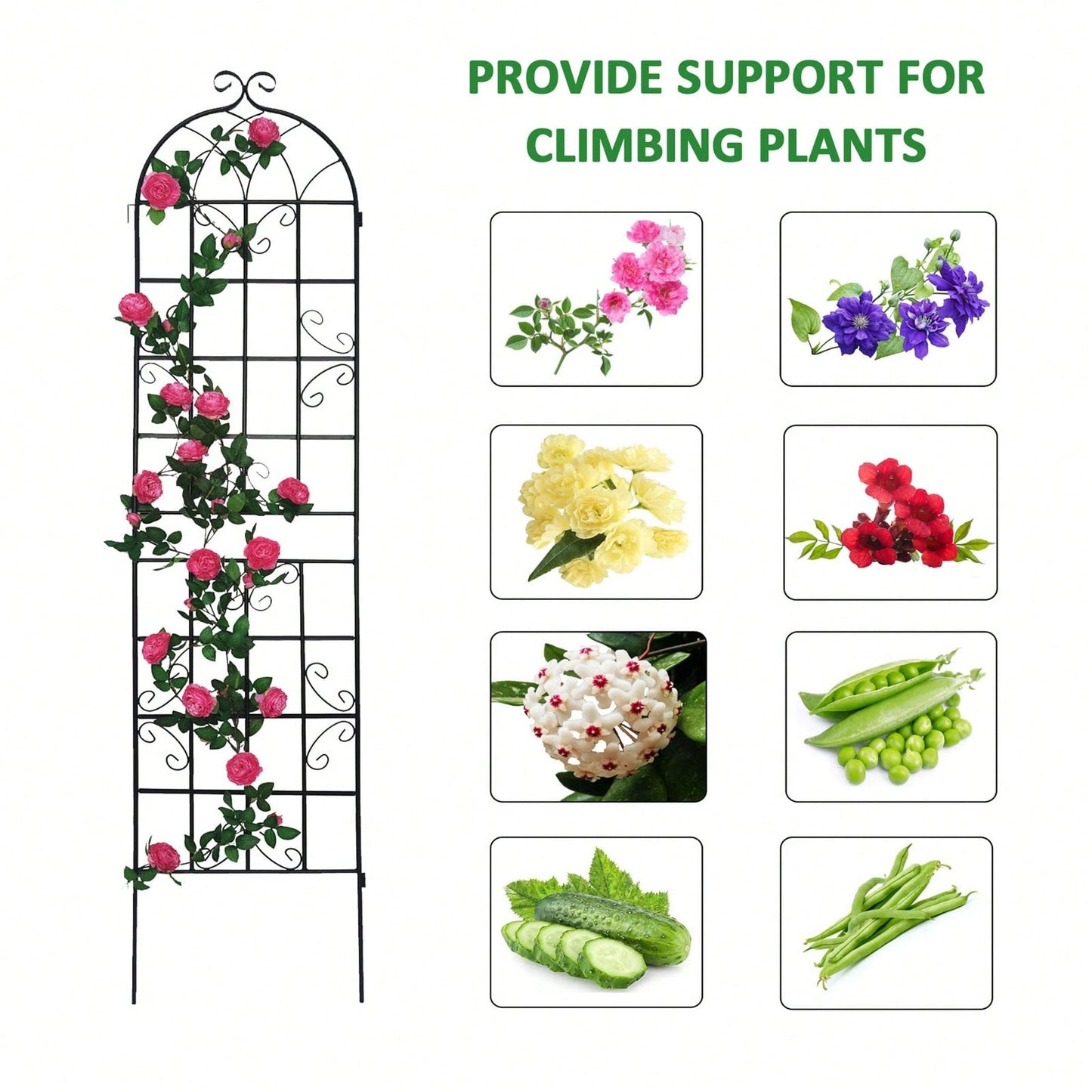 Rustproof Metal Garden Trellis For Climbing Plants Outdoor Flower Support