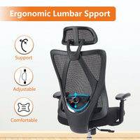 High Back Ergonomic Office Chair