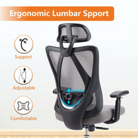 High Back Ergonomic Office Chair