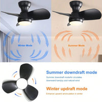 3-Color Dimmable, Powerful/Silent Motor, Sleep Timer & Quiet Motor Indoor Ceiling Fan