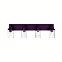 Elegant Oil-Rubbed Bronze Rectangular Backplate Light Fixture with Transparent Glass Shades