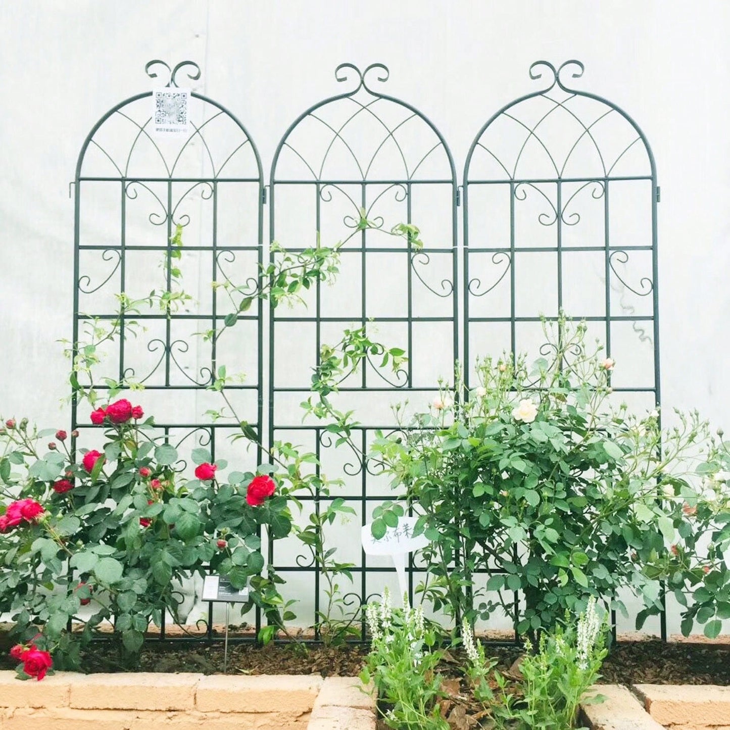 Set Of 2, Metal Garden Trellis 71" X 19.7" Rustproof Trellis For Climbing Plants Outdoor Flower Support