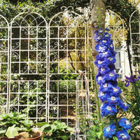 Set Of 2, Metal Garden Trellis, Rustproof Trellis For Climbing Plants Outdoor Flower Support