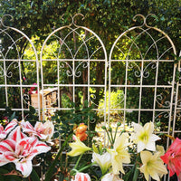 Set Of 2, Metal Garden Trellis, Rustproof Trellis For Climbing Plants Outdoor Flower Support