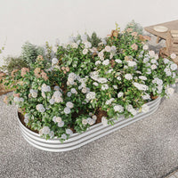 Raised Garden Bed Outdoor, Oval Large Metal Raised Planter Bed For Plants, Vegetables, And Flowers