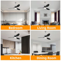 52 Inch Modern Ceiling Fan with LED Lights Remote Control DC Motor 5 Speed Adjustable ABS Blades Indoor Use