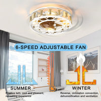 Modern Caged Ceiling Fan with Remote Control 6 Speed Reversible Blades LED Lights for Living Room Bedroom Kitchen Office Patio