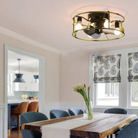 Green Caged Flush Mount Ceiling Fan with Lights and Remote for Modern Farmhouse Living Room Bedroom Kitchen