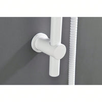Stainless Steel Grab Rail with Handheld Shower Head and 69 Inch Hose Adjustable Height Secure Mount Design
