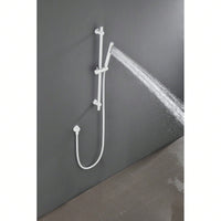 Stainless Steel Grab Rail with Handheld Shower Head and 69 Inch Hose Adjustable Height Secure Mount Design