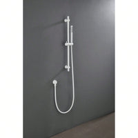 Stainless Steel Grab Rail with Handheld Shower Head and 69 Inch Hose Adjustable Height Secure Mount Design