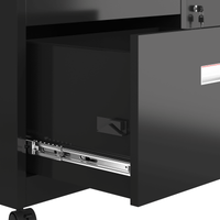 Mobile Lateral Filing Cabinet with Lock 2 Drawers Adjustable Shelves Anti-Corrosion Sturdy Design Wheels for Easy Movement