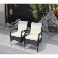 2-Piece Outdoor Dining Chairs With Beige Cushions For Patio Furniture