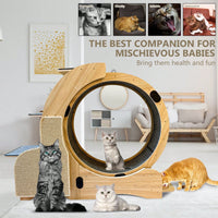 5-in-1 Cat Activity Center with Running Wheel Scratching Post Climbing Ladder Litter Box and Feeding Station for Large Cats