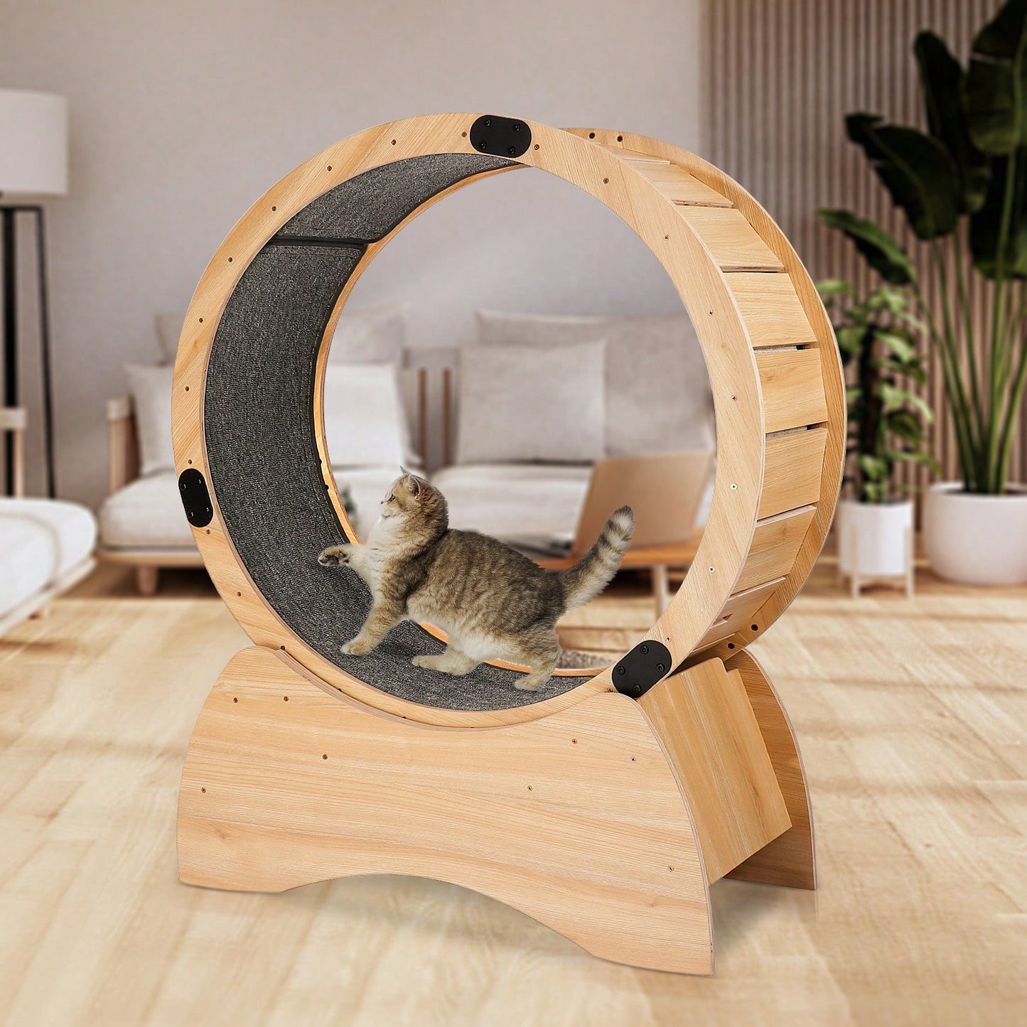 Cat Exercise Wheel for Indoor Fun - Silent Stable Design with Carpeted Runway - Boosts Health and Reduces Boredom