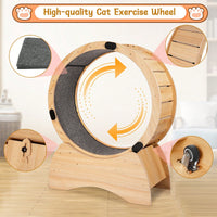 Cat Exercise Wheel for Indoor Fun - Silent Stable Design with Carpeted Runway - Boosts Health and Reduces Boredom