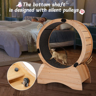 Cat Exercise Wheel for Indoor Fun - Silent Stable Design with Carpeted Runway - Boosts Health and Reduces Boredom