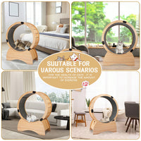 Cat Exercise Wheel for Indoor Fun - Silent Stable Design with Carpeted Runway - Boosts Health and Reduces Boredom