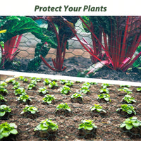 Large Size Galvanized Hexagonal Floral Green Chicken Wire