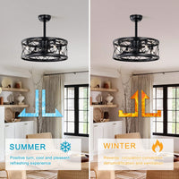 Modern Ceiling Fan With Lights