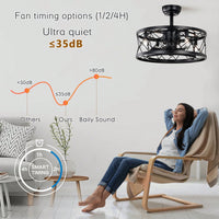 Modern Ceiling Fan With Lights