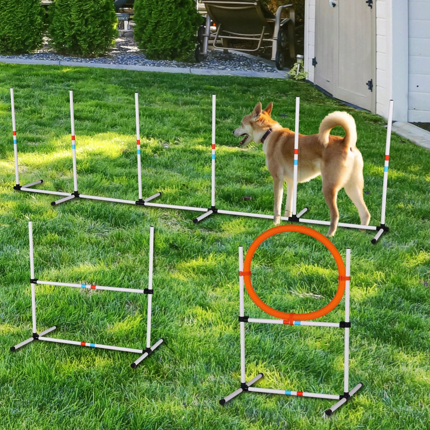 3PC Dog Agility Equipment Set, Obstacle Course Exercise For Dog