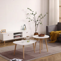 Modern Egg Shape Coffee Table