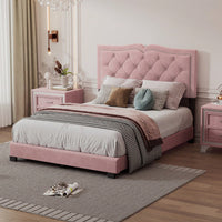 Modern Pink Velvet Platform Bed with Tufted Headboard and Rivet Design Sturdy Wood Frame No Box Spring Needed 500lbs Capacity
