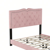 Modern Pink Velvet Platform Bed with Tufted Headboard and Rivet Design Sturdy Wood Frame No Box Spring Needed 500lbs Capacity